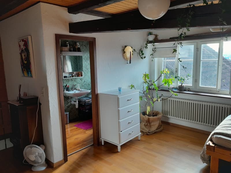 Wunderschöne 2 1/2 Zimmer Wohnung im Herzen von Wangen (8)