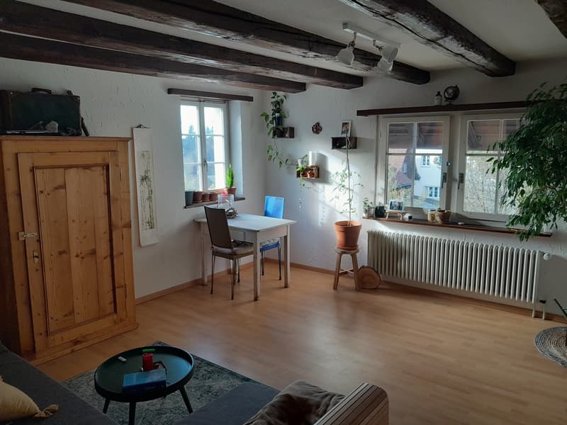 Wunderschöne 2 1/2 Zimmer Wohnung im Herzen von Wangen (1)