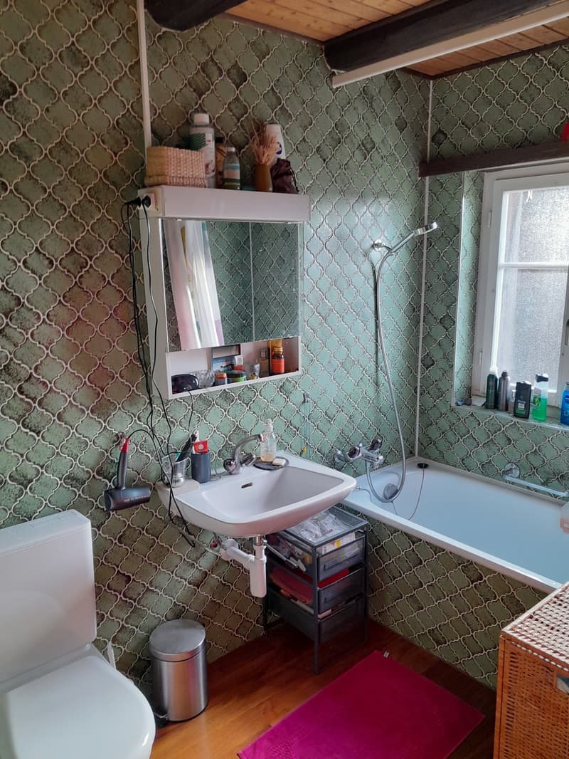 Wunderschöne 2 1/2 Zimmer Wohnung im Herzen von Wangen (9)