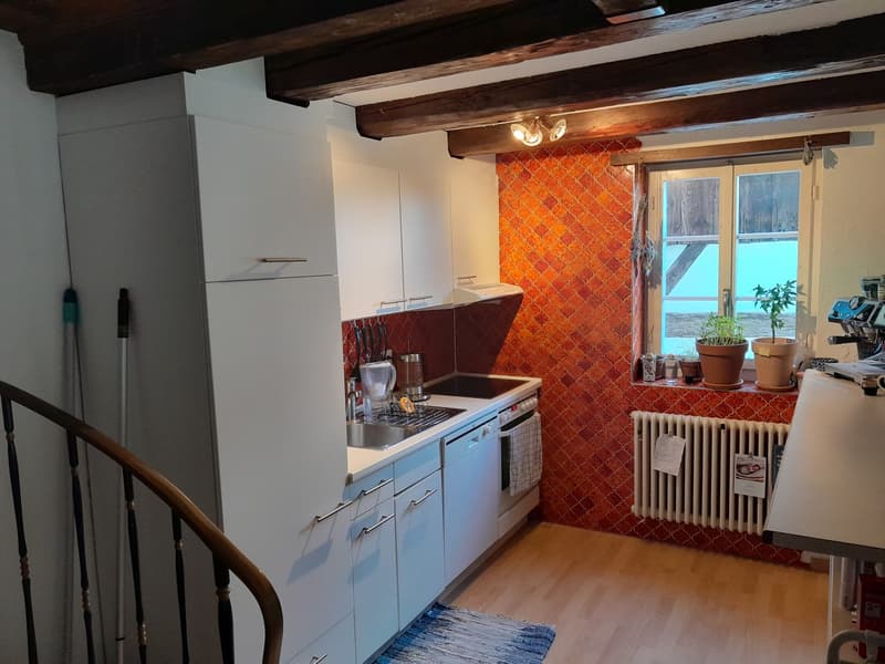 Wunderschöne 2 1/2 Zimmer Wohnung im Herzen von Wangen (4)