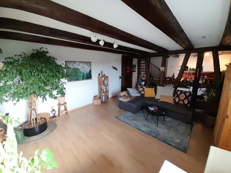 Wunderschöne 2 1/2 Zimmer Wohnung im Herzen von Wangen (3)