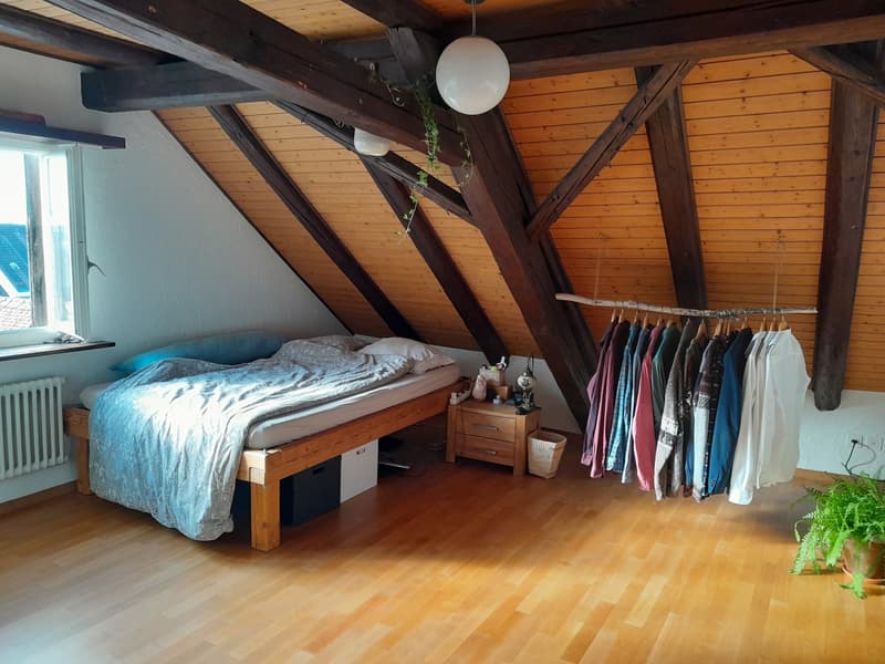 Wunderschöne 2 1/2 Zimmer Wohnung im Herzen von Wangen (6)