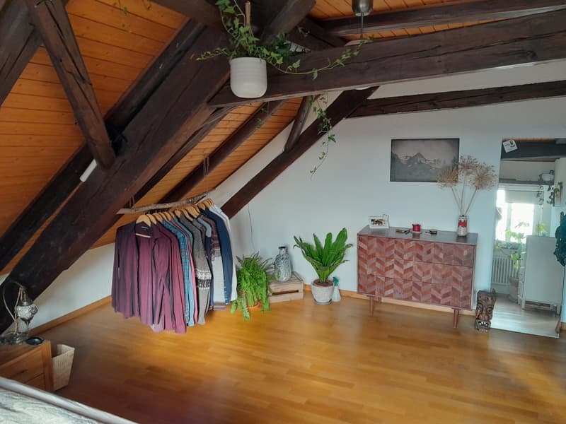 Wunderschöne 2 1/2 Zimmer Wohnung im Herzen von Wangen (7)