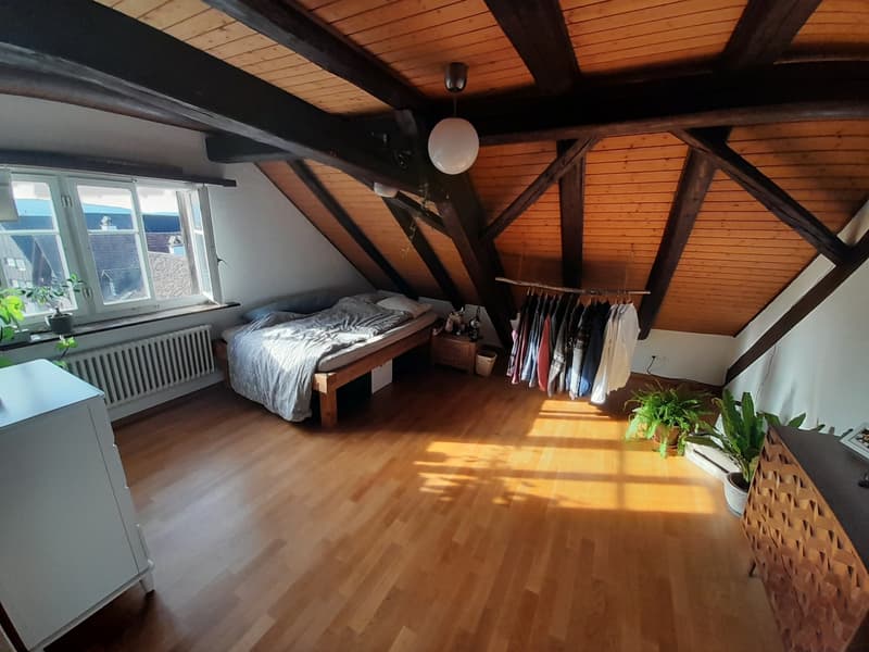 Wunderschöne 2 1/2 Zimmer Wohnung im Herzen von Wangen (5)
