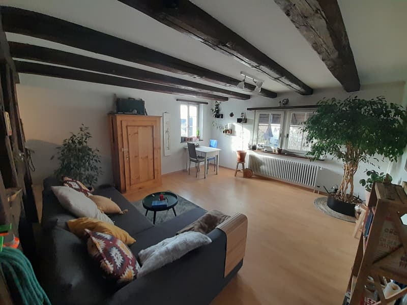 Wunderschöne 2 1/2 Zimmer Wohnung im Herzen von Wangen (2)