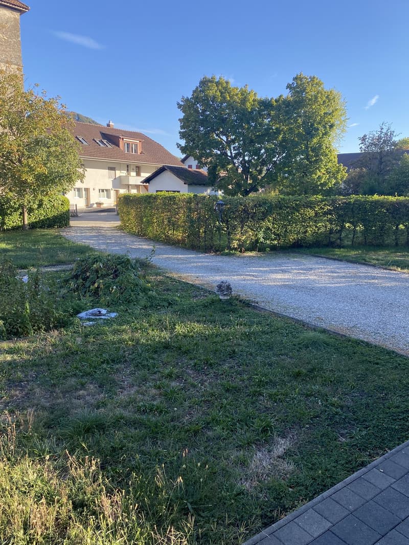 WG Zimmer (5)