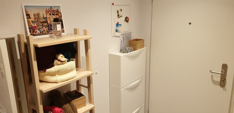 [1 or 1.5 Months Sublet in November +-December] Cozy, Sunny and super connected 1.5 Room Apartment :) (7)