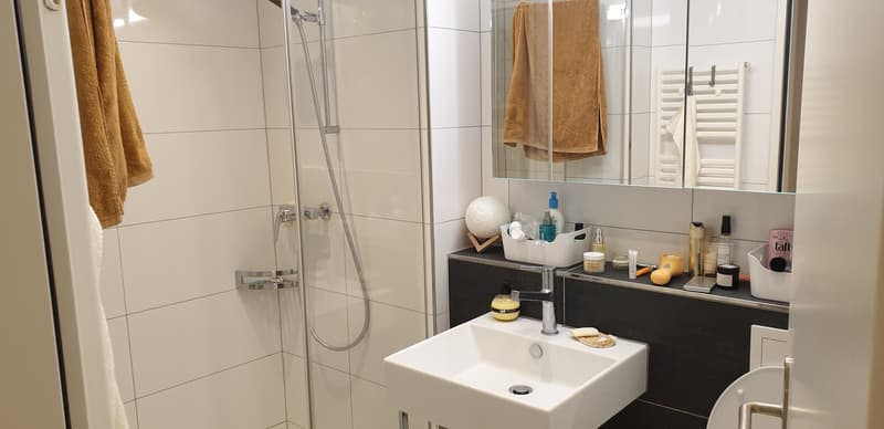 [1 or 1.5 Months Sublet in November +-December] Cozy, Sunny and super connected 1.5 Room Apartment :) (6)