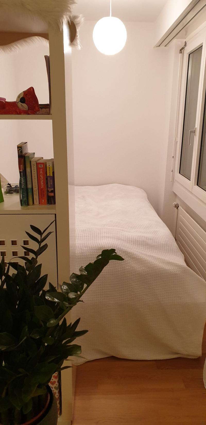 [1 or 1.5 Months Sublet in November +-December] Cozy, Sunny and super connected 1.5 Room Apartment :) (4)