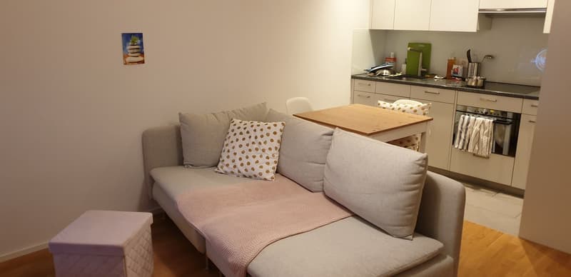 [1 or 1.5 Months Sublet in November +-December] Cozy, Sunny and super connected 1.5 Room Apartment :) (3)