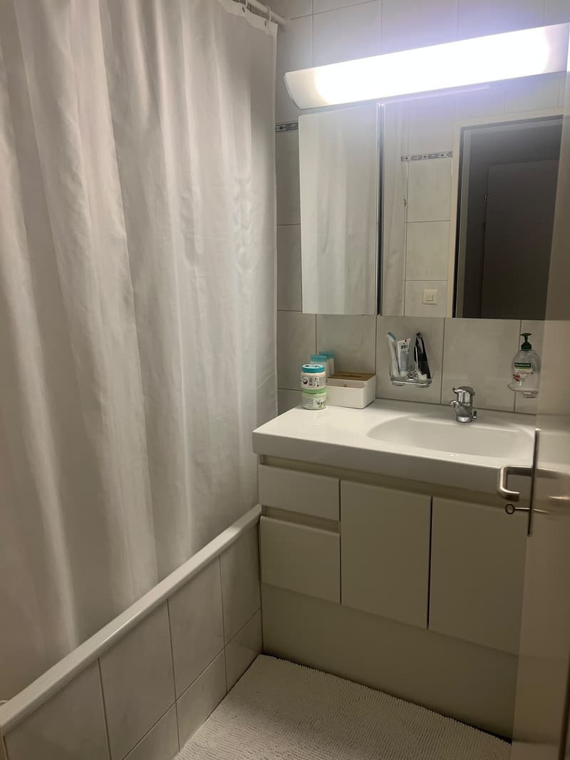 Helle 2.5 Zimmer-Wohnung in Bülach (5)