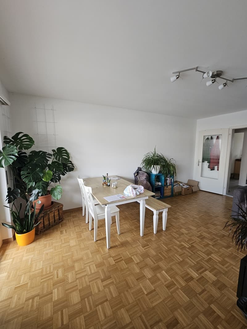 WG Zimmer, 15 m², hell geräumig, unmöbliert (3)