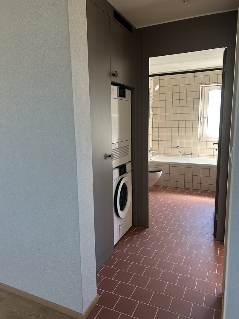 Newly Renovated 3.5-Room Apartment indirect Lake View & Parking (4)