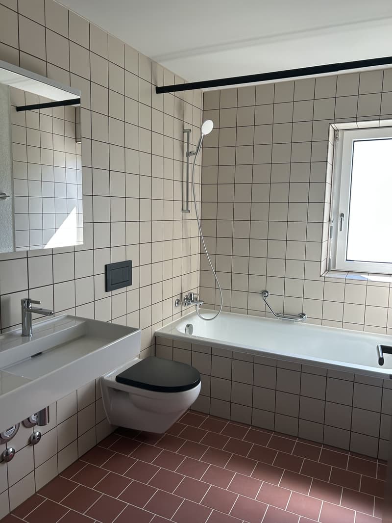 Newly Renovated 3.5-Room Apartment indirect Lake View & Parking (3)