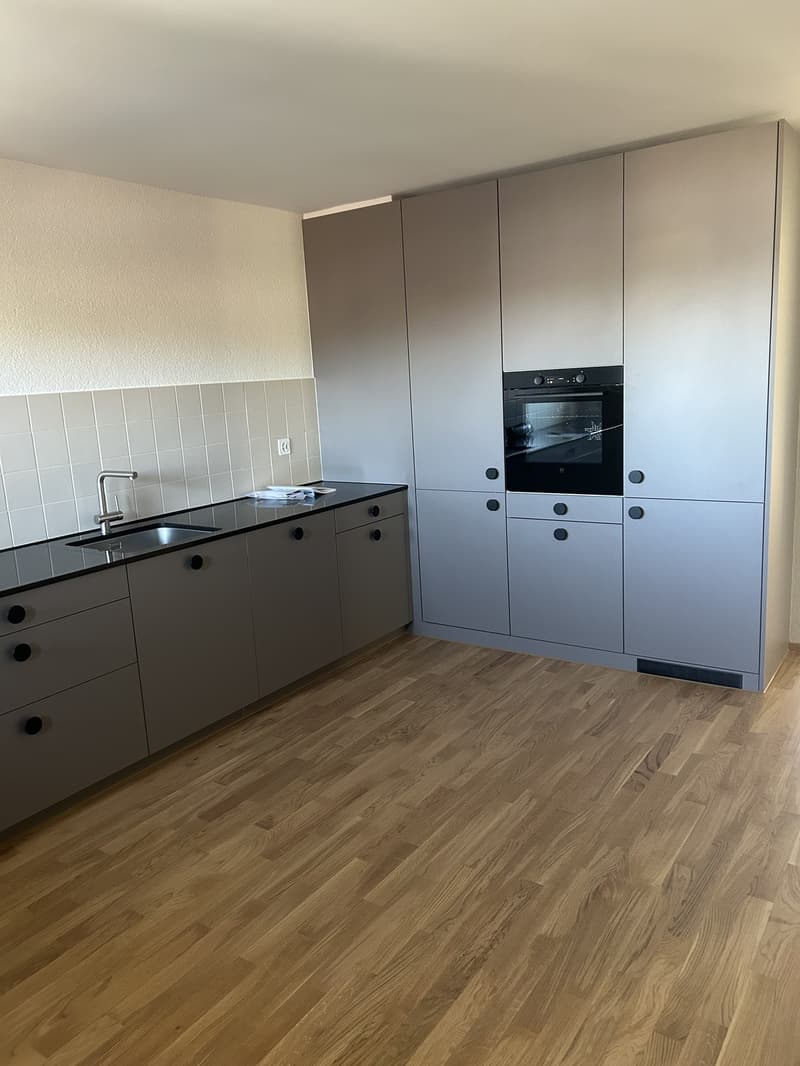 Newly Renovated 3.5-Room Apartment indirect Lake View & Parking (1)