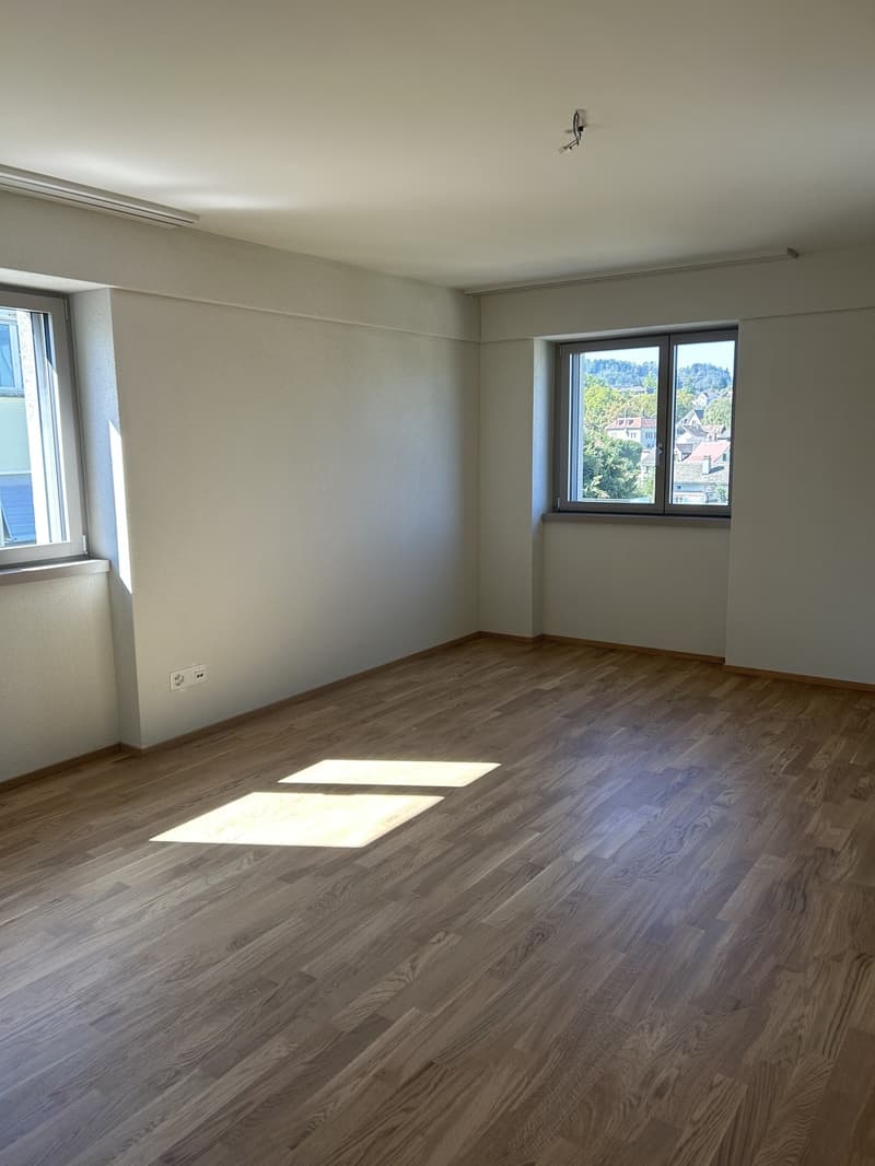 Newly Renovated 3.5-Room Apartment indirect Lake View & Parking (5)