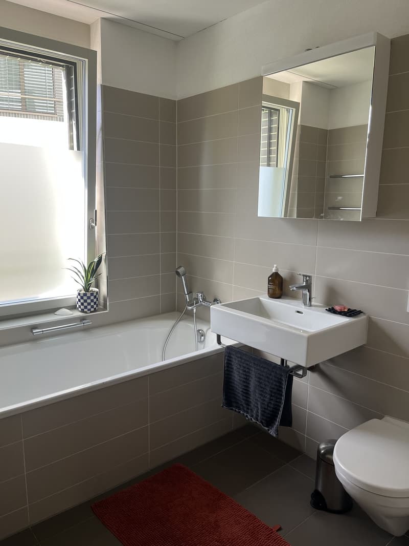 Furnished 3.5-Room Apartment in Zurich Wiedikon for 3 months (3)