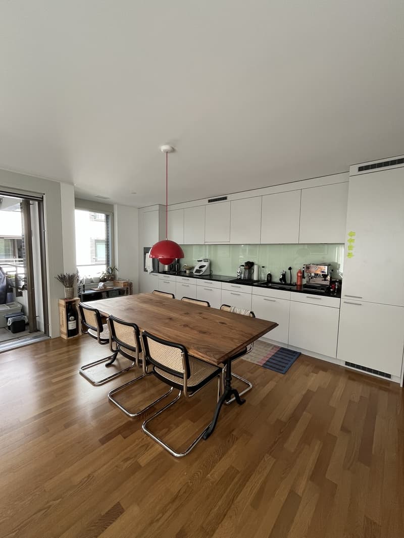 Furnished 3.5-Room Apartment in Zurich Wiedikon for 3 months (2)