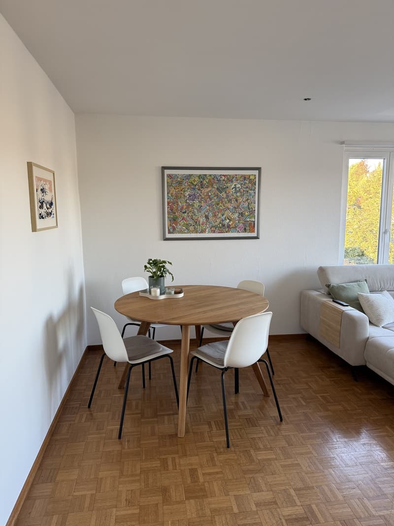 Helle 2-Zimmer-Wohnung in Uster mit Balkon Untermiete (Option auf Übernahme) (3)