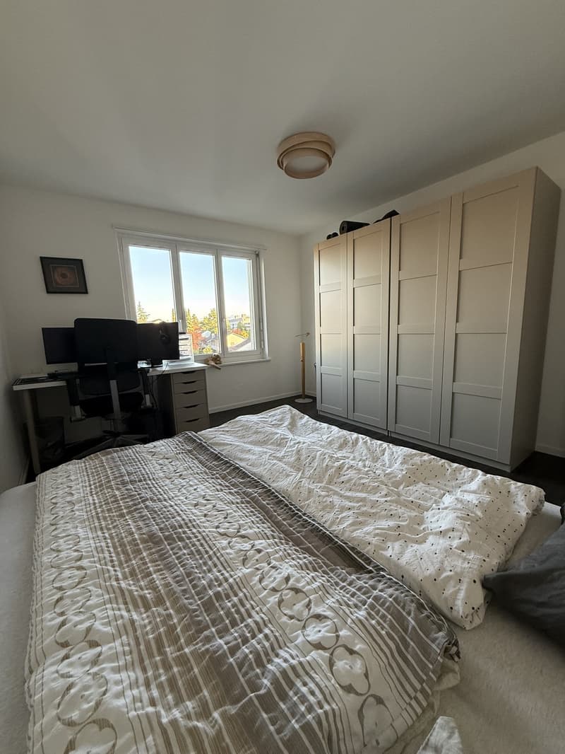 Helle 2-Zimmer-Wohnung in Uster mit Balkon Untermiete (Option auf Übernahme) (5)