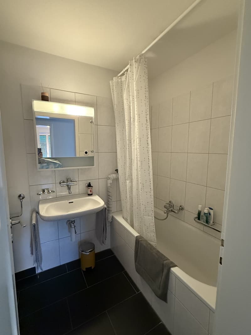 Helle 2-Zimmer-Wohnung in Uster mit Balkon Untermiete (Option auf Übernahme) (6)