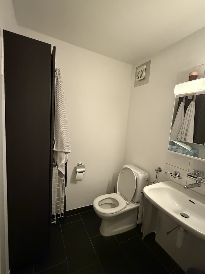 Helle 2-Zimmer-Wohnung in Uster mit Balkon Untermiete (Option auf Übernahme) (7)