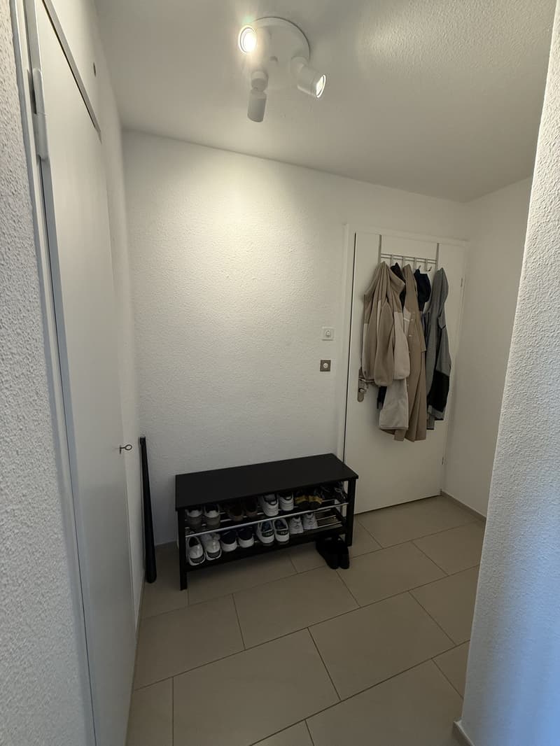 Helle 2-Zimmer-Wohnung in Uster mit Balkon Untermiete (Option auf Übernahme) (10)