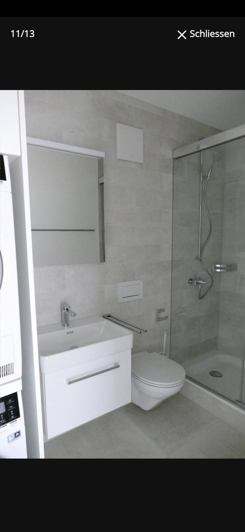 Moderne 4,5 Zimmer Dachwohnung (7)