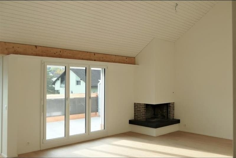 Moderne 4,5 Zimmer Dachwohnung (1)