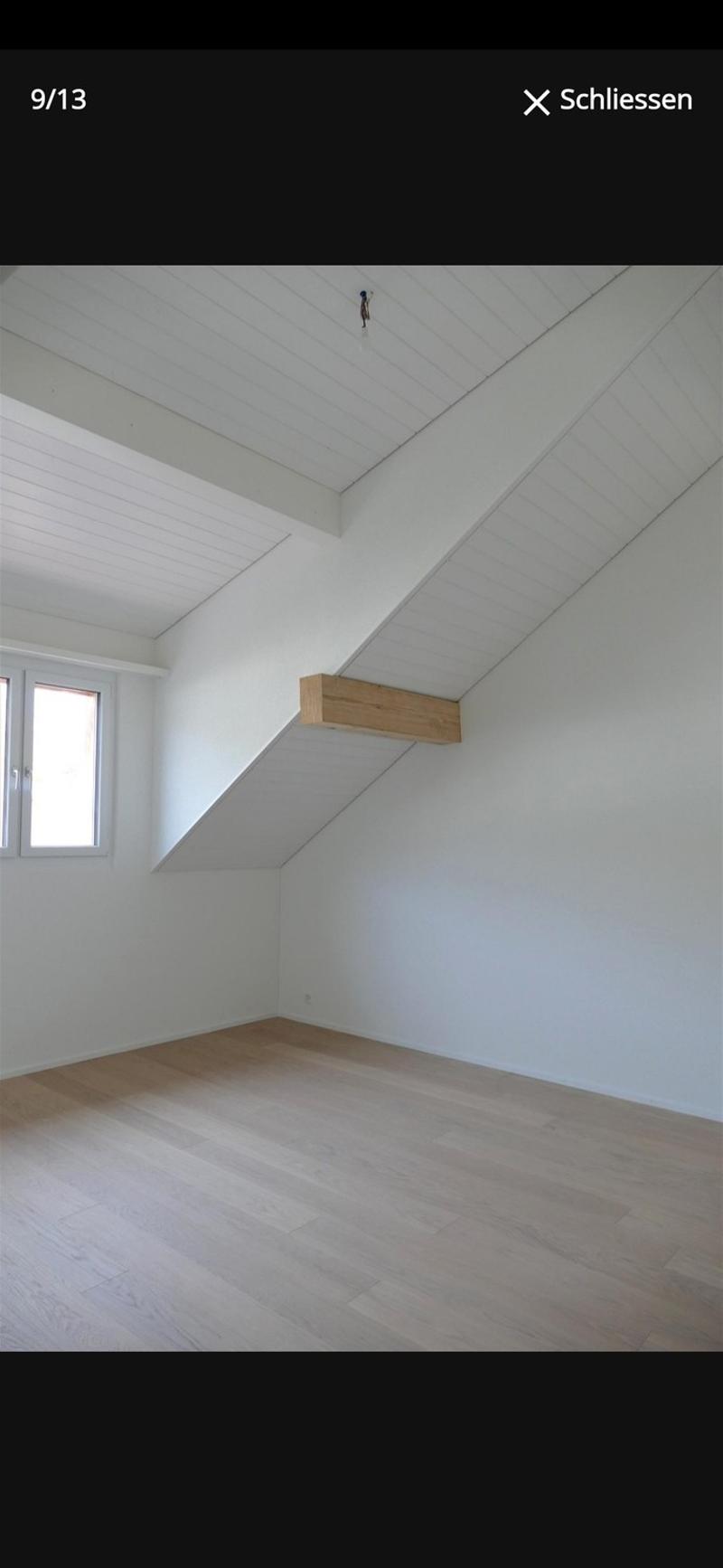 Moderne 4,5 Zimmer Dachwohnung (3)