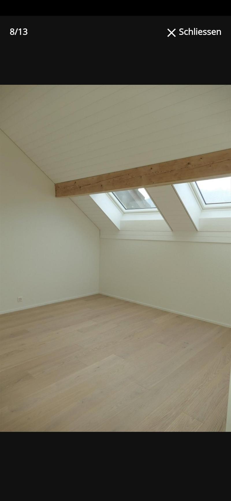 Moderne 4,5 Zimmer Dachwohnung (4)
