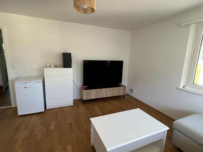 Zimmer in einer 3.5-Zimmer-Wohnung in Küssnacht am Rigi (12)