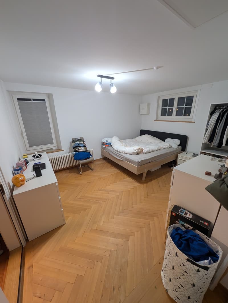 Wohnung mit charm (8)