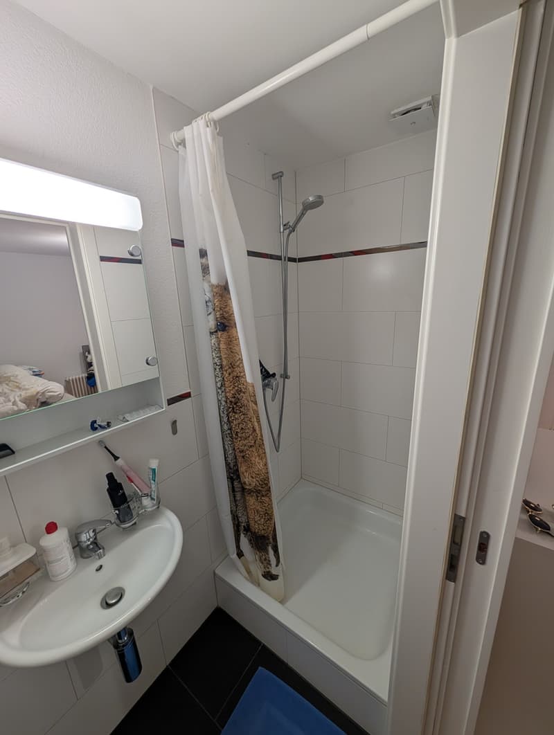 Wohnung mit charm (10)