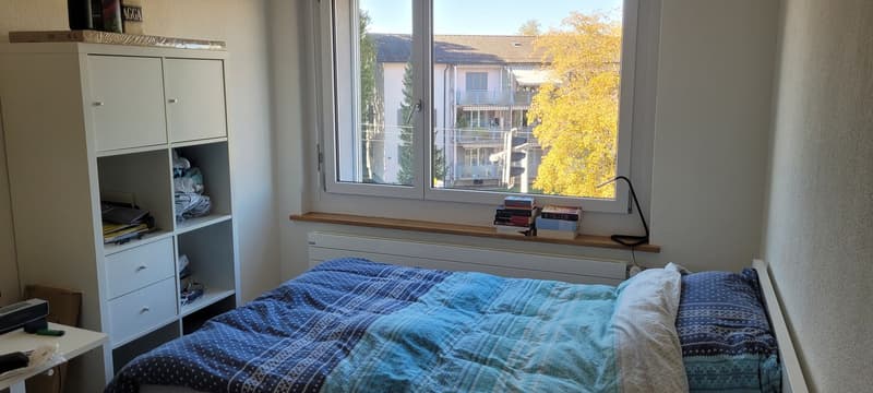 Helle 4.5-Zimmerwohnung an der Winterthurerstrasse (5)