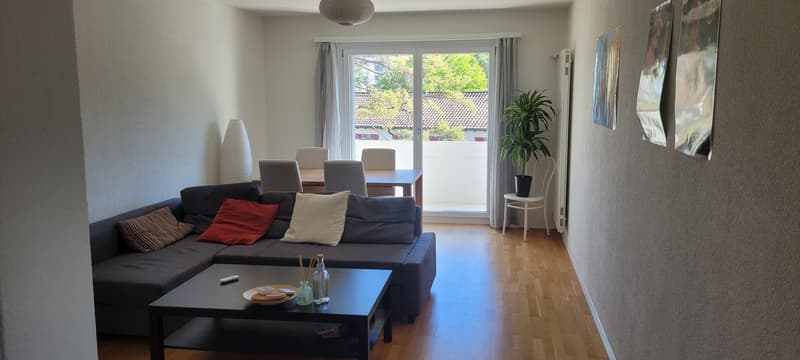Helle 4.5-Zimmerwohnung an der Winterthurerstrasse (1)