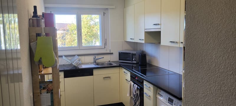 Helle 4.5-Zimmerwohnung an der Winterthurerstrasse (2)