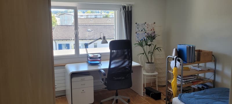 Helle 4.5-Zimmerwohnung an der Winterthurerstrasse (3)