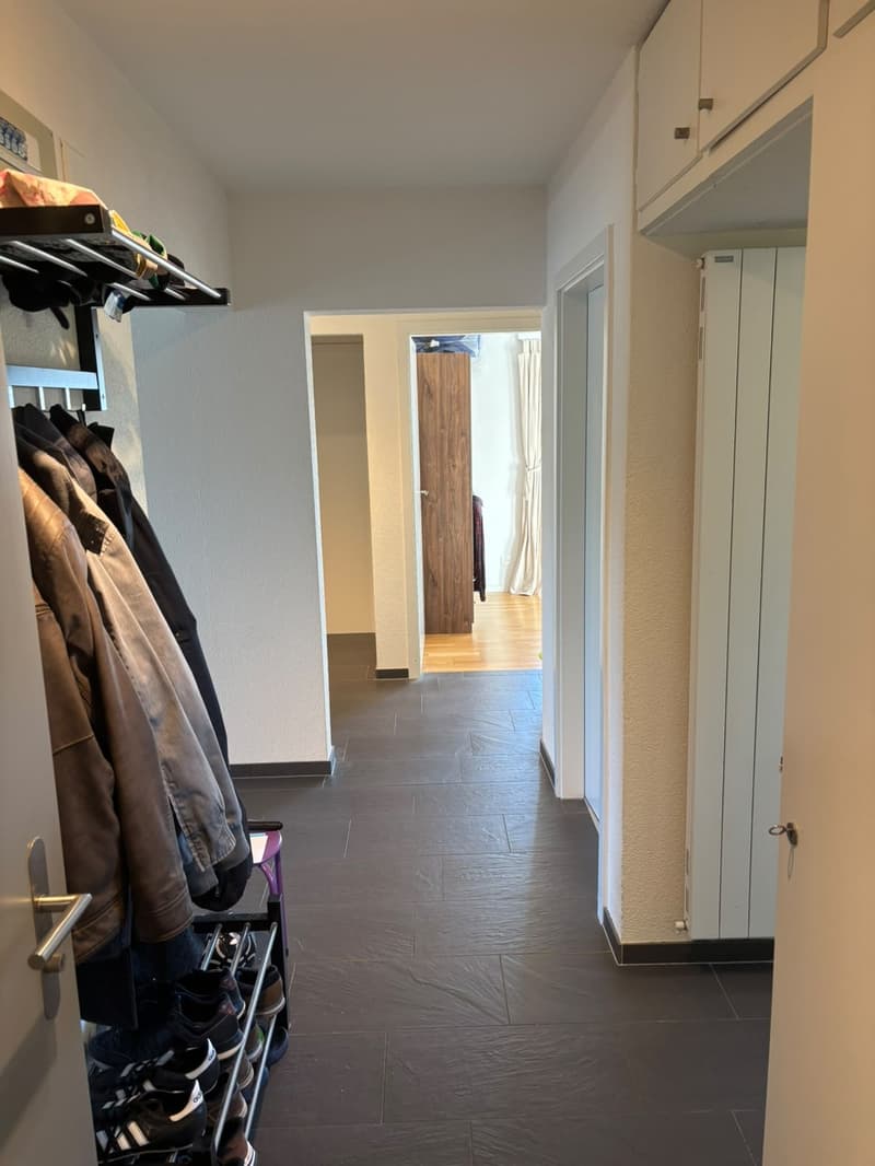 Helle 4.5-Zimmerwohnung an der Winterthurerstrasse (8)
