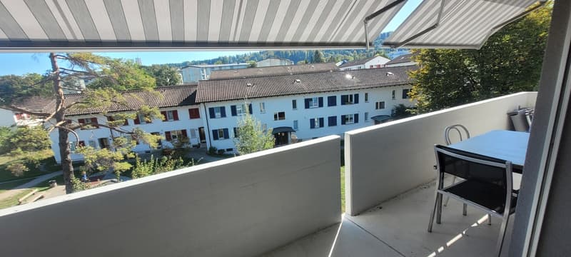 Helle 4.5-Zimmerwohnung an der Winterthurerstrasse (9)