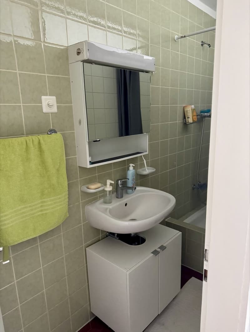 Urbane Wohnung zu vermieten (4)