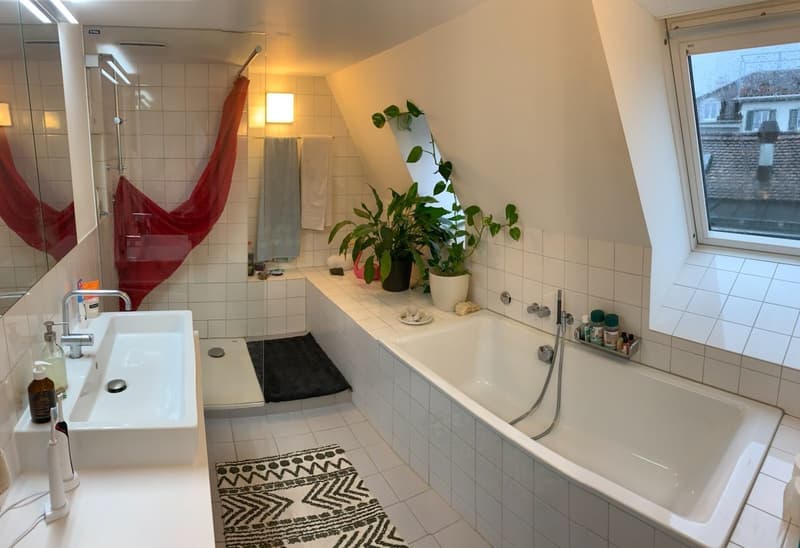 WG-Zimmer im Seefeld mit Dachterrasse & Balkon ab 01.11 oder früher (6)