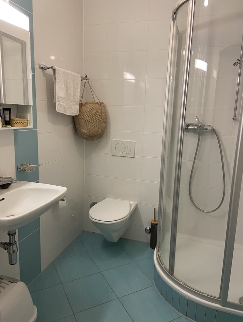 Furnished room with private bathroom in a 5-room apartment in Geneva (4)