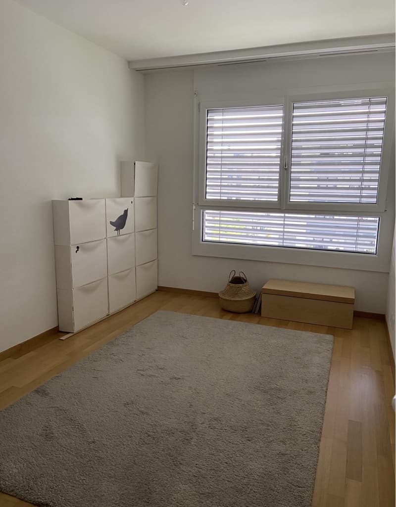 Furnished room with private bathroom in a 5-room apartment in Geneva (3)