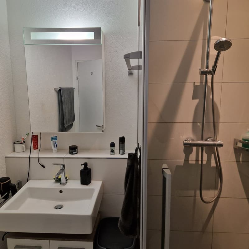 Chambre dans une collocation d'un appartement 4.5 pièces de 145m² (10)