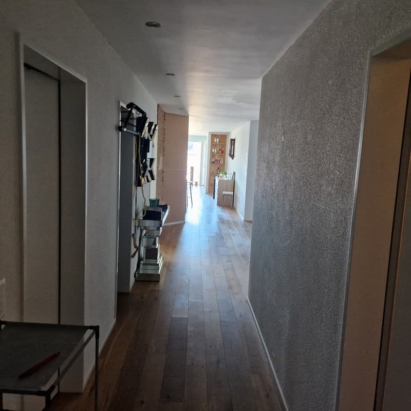 Chambre dans une collocation d'un appartement 4.5 pièces de 145m² (6)