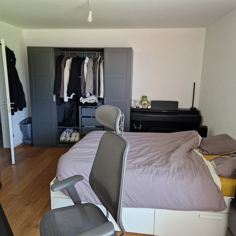 Chambre dans une collocation d'un appartement 4.5 pièces de 145m² (9)