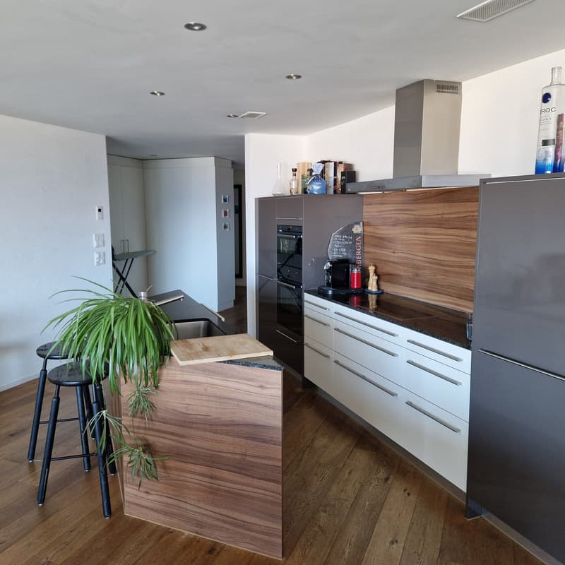 Chambre dans une collocation d'un appartement 4.5 pièces de 145m² (3)