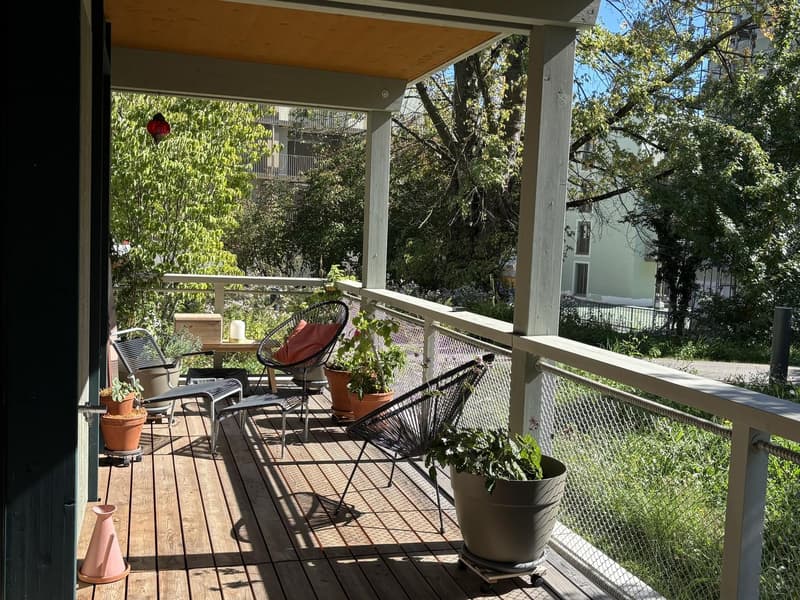 Helle 3.5-Zimmer-Neubauwohnung mit grosser Terrasse (2)