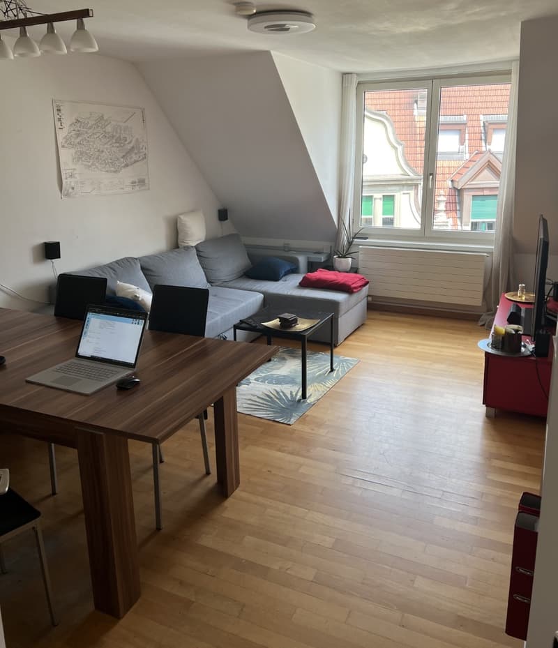 WG-Zimmer im Bruchquartier mit Katze (4)